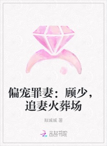 偏宠罪妻：顾少，追妻火葬场章节列表