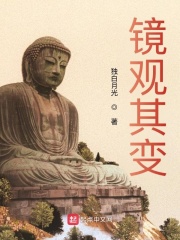 镜观其变章节列表
