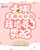 手撕主角光环后我娇养了男配章节列表