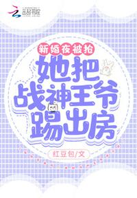 新婚夜被抢！她把战神王爷踢出房章节列表