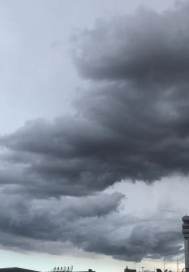 道门天才章节列表