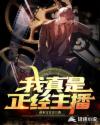 我真是正经主播章节列表