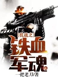 抗战之铁血军魂章节列表