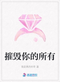 摧毁你的所有章节列表