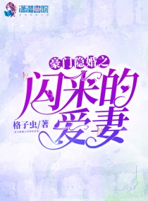 豪门隐婚之闪来的爱妻章节列表