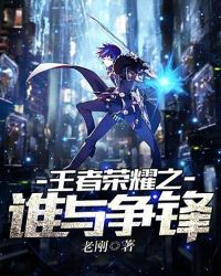 王者荣耀之谁与争锋章节列表