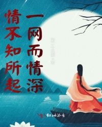 情不知所起，一网而情深章节列表