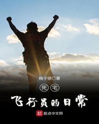 死宅飞行员的日常章节列表