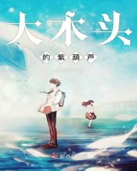 大木头的紫葫芦章节列表