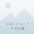 九零娇俏小甜妻，嫁个硬汉生崽崽章节列表