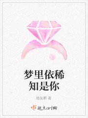 梦里依稀知是你章节列表