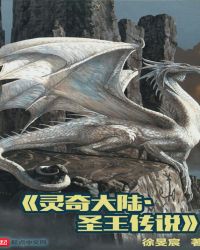 灵奇大陆圣王传说章节列表