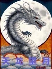 天龙望月章节列表