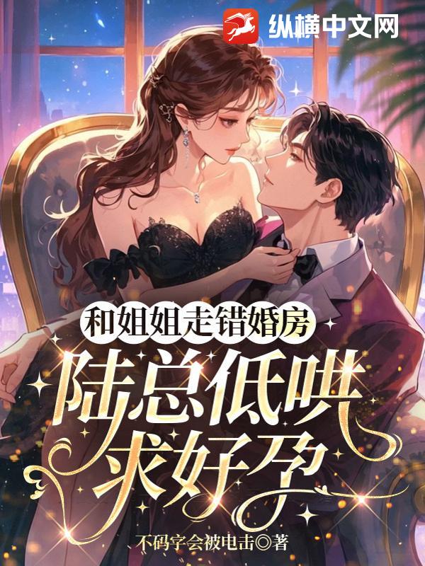 和姐姐走错婚房，陆总低哄求好孕章节列表
