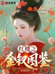 红楼之金钗图鉴章节列表