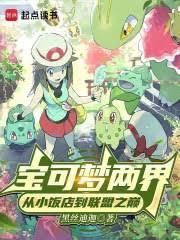 宝可梦：洗翠开局，靠捡种子致富章节列表