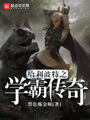 哈利波特之学霸传奇章节列表