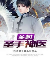 乡村圣手神医章节列表