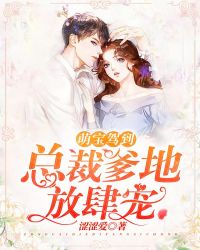 萌宝驾到：总裁爹地放肆宠章节列表