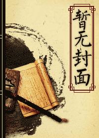 医婿叶凡章节列表