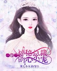 一胎二宝：神秘总裁的心尖宠章节列表