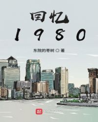 回忆1980章节列表