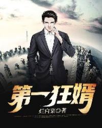 第一狂婿章节列表