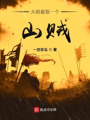 大明最狠一个山贼章节列表