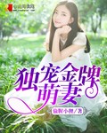 景琛慕浅章节列表