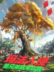 法师传奇3：玛法入侵章节列表