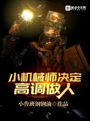 小机械师决定高调做人章节列表